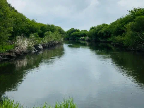 Хоёр эрэг нь ногоон бутаар хучигдсан, үүлэрхэг тэнгэрийн доор нам гүм урсах гол